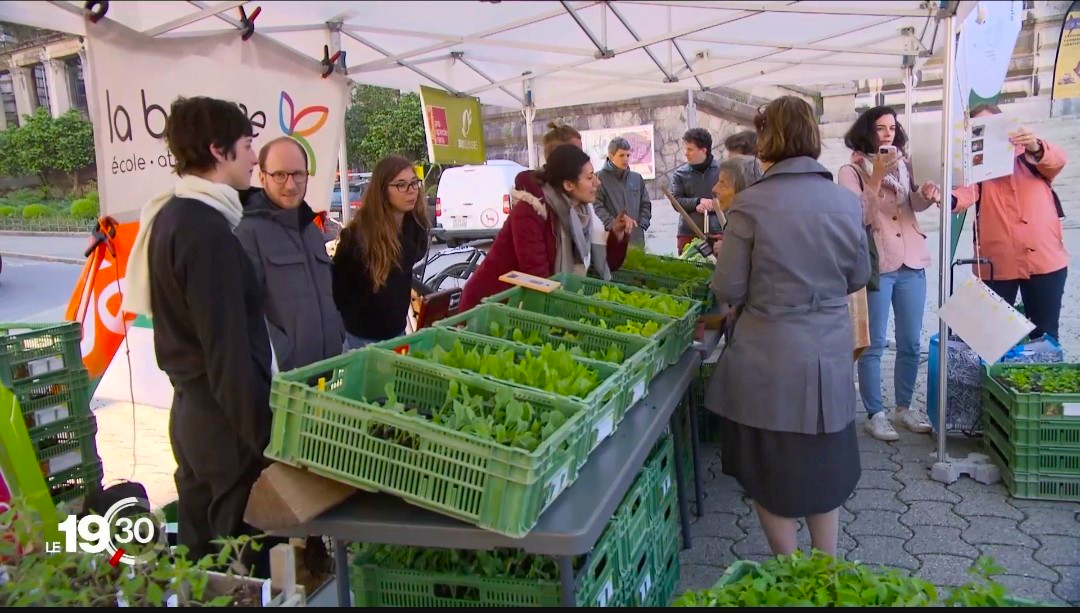 Présence sur les marchés